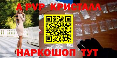 гашик Берёзовский