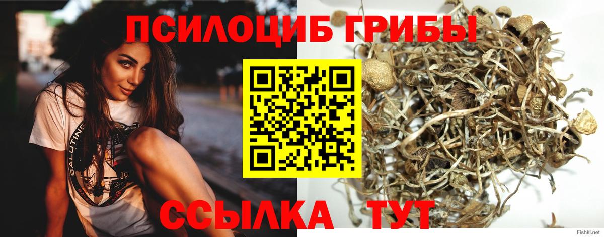 Псилоцибиновые грибы мухоморы Кимовск